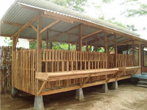 Cara Ternak Kambing Pemula