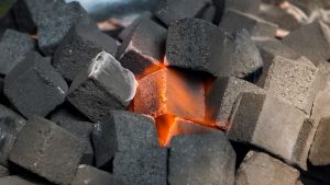 peluang bisnis arang batok kelapa