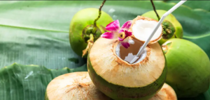 peluang usaha kelapa muda