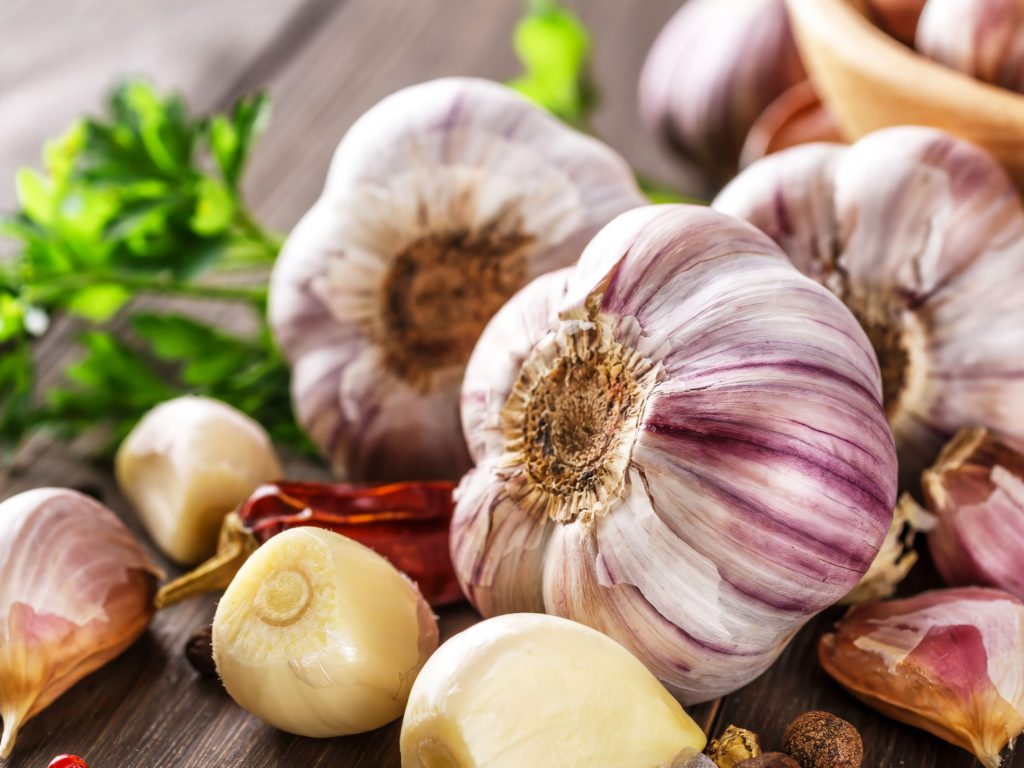 macam macam bawang putih