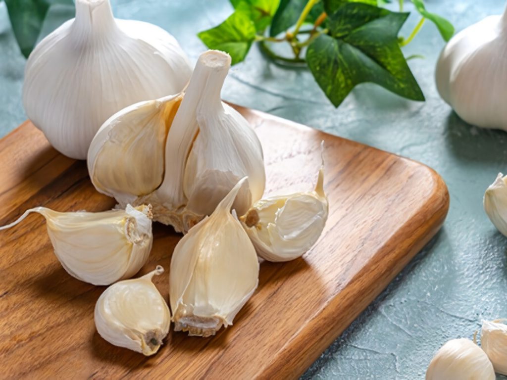 macam macam bawang putih