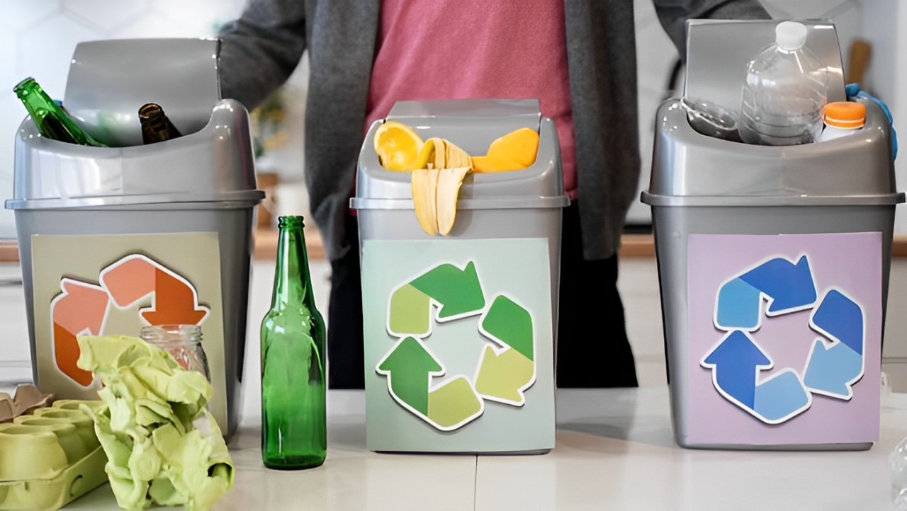 Perbedaan Limbah Organik dan Limbah Anorganik