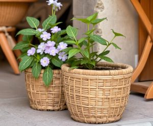 cara membuat pot bunga dari anyaman bambu