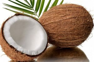 manfaat buah kelapa tua