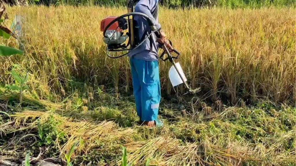 Fungsi Mesin Panen Padi