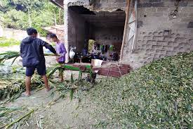 Kenapa Harus Dicacah?