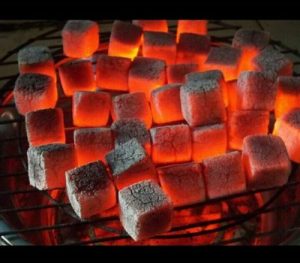 Coconut briquettes with minimal carbon footprint