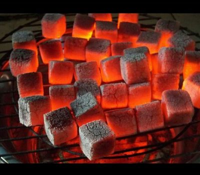 Coconut briquettes with minimal carbon footprint