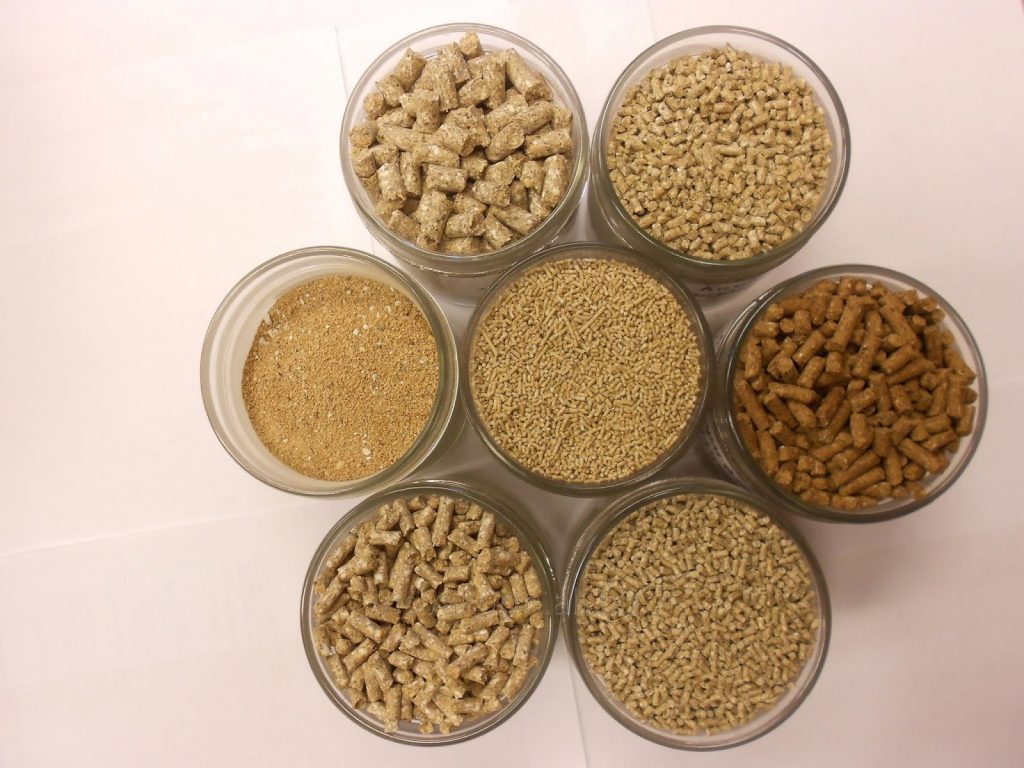 cara mengaduk pakan ternak