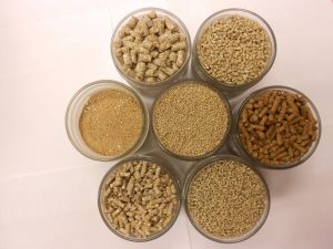 cara mengaduk pakan ternak