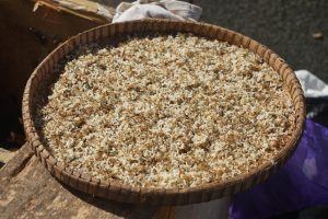 inovasi kandang kroto