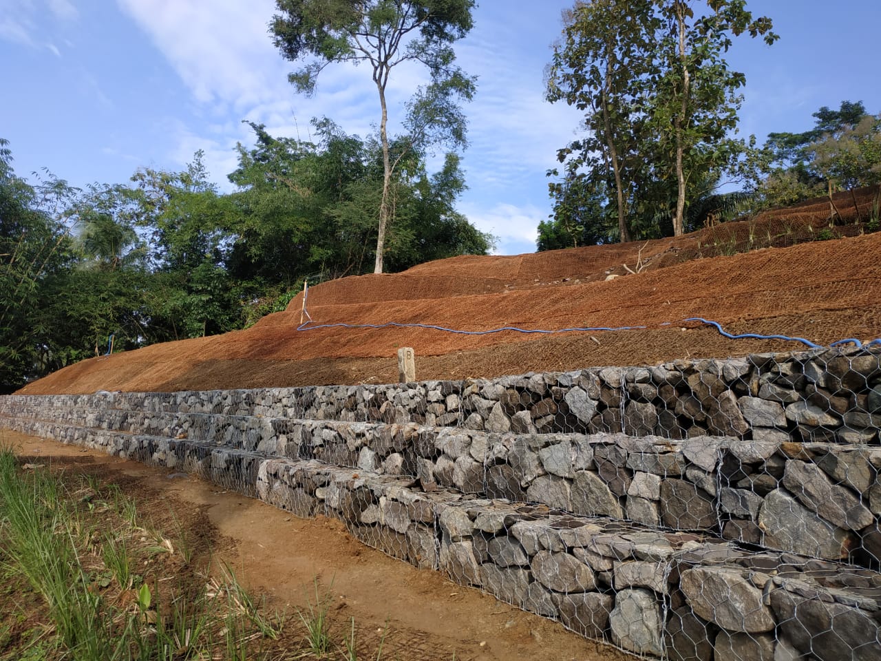 Sabut kelapa rehabilitasi lahan kritis