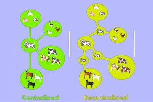 Distribusi terpusat vs desentralisasi