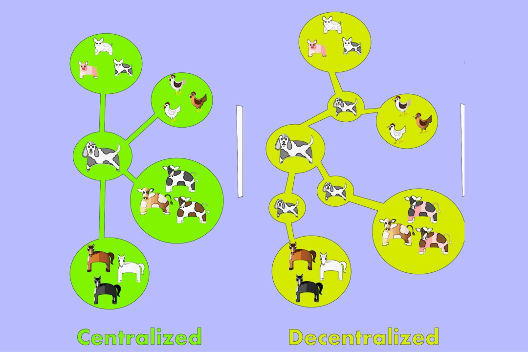 Distribusi terpusat vs desentralisasi