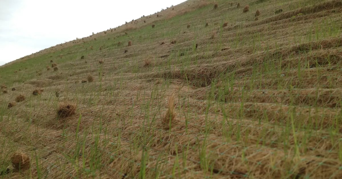 Pemanfaatan sabut kelapa dalam pertanian organik