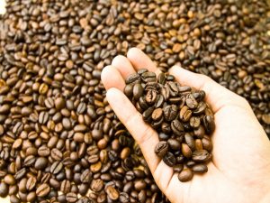 tips bikin bubuk kopi sendiri