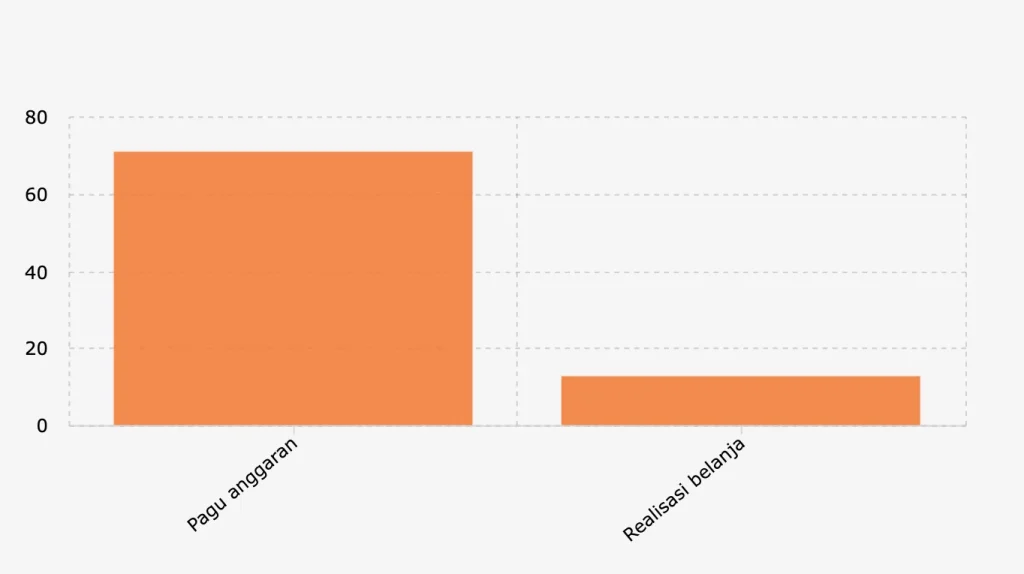anggaran bulanan mbg