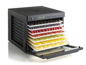 pengawetan makanan alami