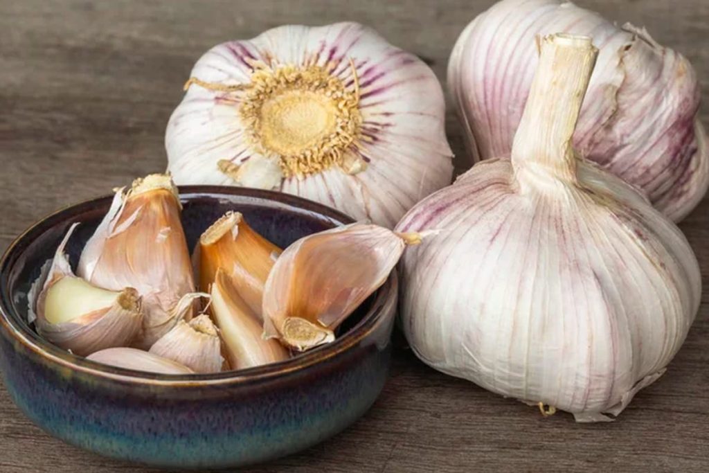 jual bawang putih kupas