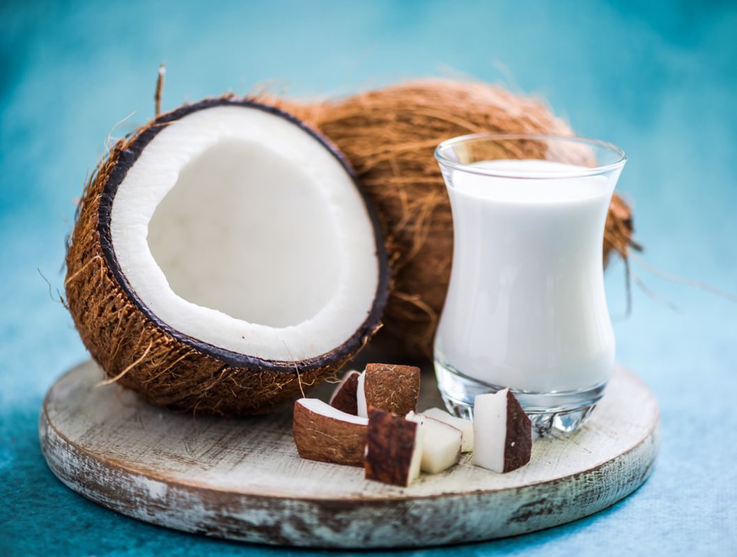 Bisnis olahan kelapa