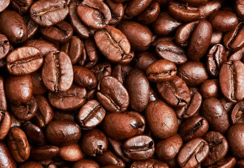 cara kerja mesin selep kopi